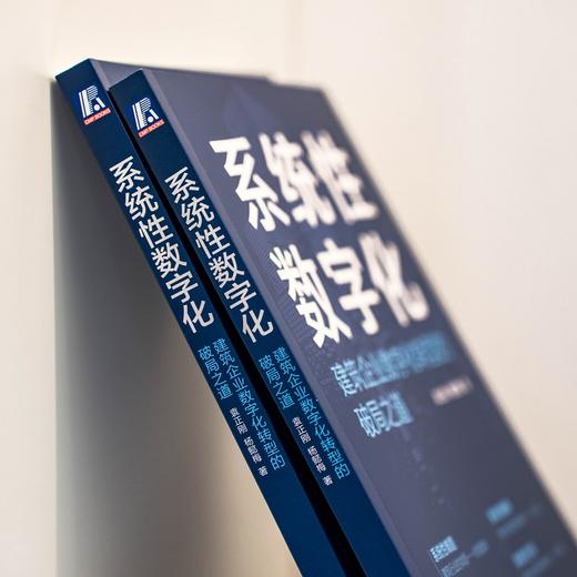 官网 系统性数字化 建筑企业数字化转型的破局之道 袁正刚 杨懿梅 建筑行业工业企业数字化转型企业经营管理学书籍 商品图2