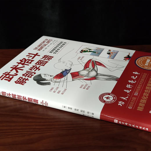 武术格斗解剖学图谱 商品图2