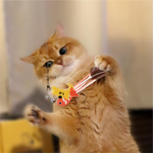 宠物系列团团系列逗猫棒钓猫神器 商品图1