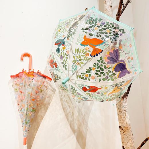 法国DJECO 小童 幼童专属透明花伞/变色伞，亲子成人伞(中大童伞）(TG-CXS) 商品图3