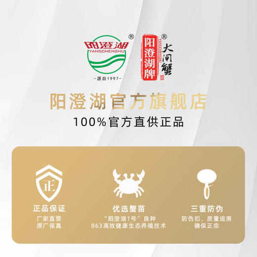 【卡券】【阳澄湖牌有机大闸蟹金榜题名型】3.5两公蟹*5只2.5两母蟹*5只 商品图2