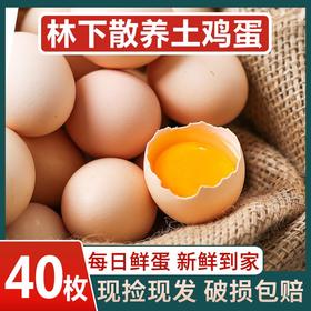 【人工喂养！新鲜生鸡蛋】40枚散养土鸡蛋新鲜农村林下笨鸡蛋自养草鸡蛋生鸡蛋柴鸡蛋整箱原生态放养