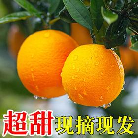 【多汁饱满！脆爽口感的爆甜脐橙子】新鲜10斤应季水果薄皮甜橙果冻橙 节日送礼物优选-觅食坊健康