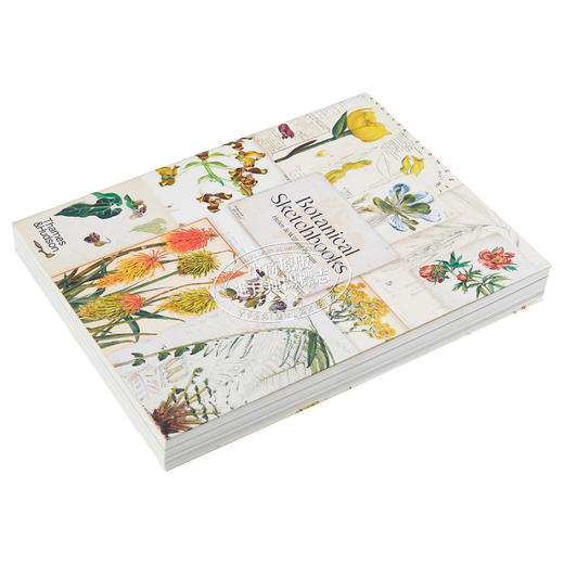 【中商原版】Botanical Sketchbooks 进口艺术 植物的写生簿 T&H 商品图2