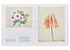 【中商原版】Botanical Sketchbooks 进口艺术 植物的写生簿 T&H 商品缩略图5