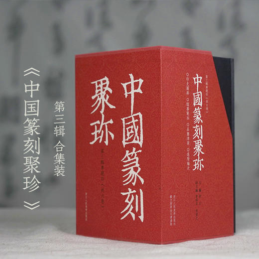 中国篆刻聚珍(第3辑专题印共6册)(精)瓷印/封泥/楷书印/鸟虫印/图形印/玉印 商品图1