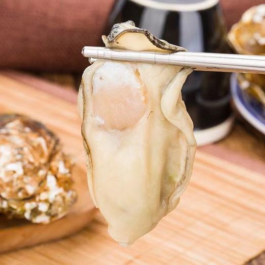 【顺丰包邮！口感细腻鲜美】一整箱特大生蚝带壳牡蛎新鲜烧烤非乳山生蚝鲜贝带壳海蛎子-觅食坊健康 商品图1