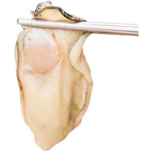【顺丰包邮！口感细腻鲜美】一整箱特大生蚝带壳牡蛎新鲜烧烤非乳山生蚝鲜贝带壳海蛎子-觅食坊健康 商品图4