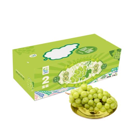 崇西明珠阳光玫瑰葡萄2.5kg 商品图0