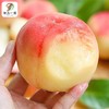 【一个个如同明珠般晶莹剔透！树上熟水蜜桃大桃子】5斤水果新鲜整箱脆甜应季超甜油密桃 节日送礼物优选-觅食坊健康 商品缩略图1