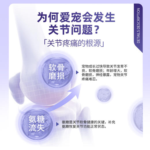 新宠之康鲨鱼软骨素颗粒10粒装 呵护关节健骨补钙 软弹颗粒 适口性好犬猫通用 商品图1