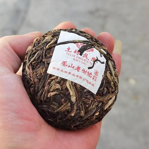 平价优选 |2021年凤山老树沱茶，生茶100g*5个/条 商品图1