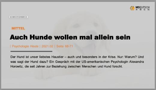 Auch Hunde wollen allein丨M 商品图0