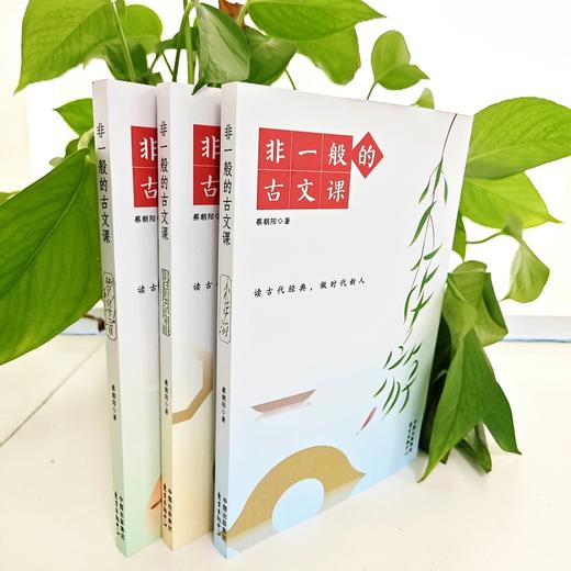 非一般的古文课（梦华录+归去来+少年游 3册装）蔡朝阳 著 读古代经典 做时代新人 中小学适用（扫码免费获取阿老师音频课 随机赠送明信片） 商品图9