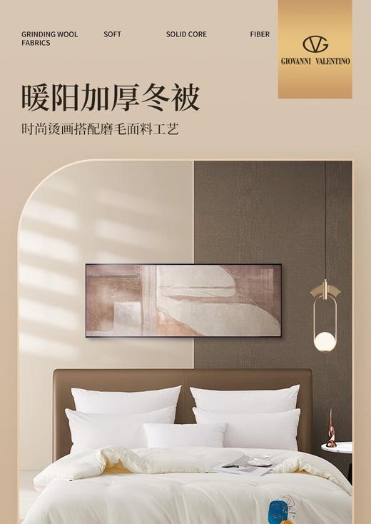 暖阳加厚冬被 商品图0