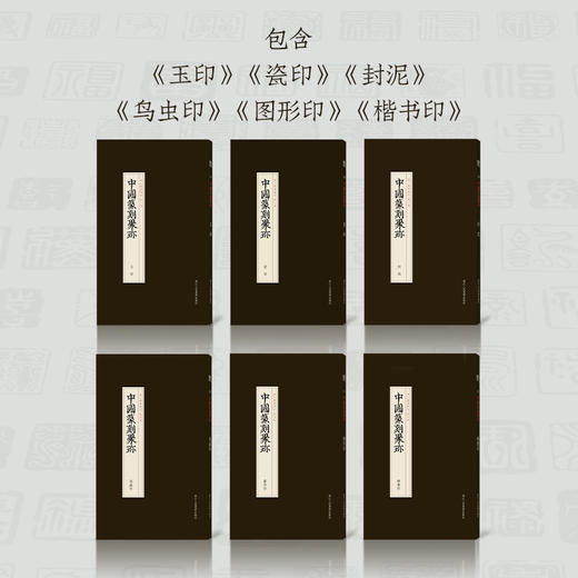 中国篆刻聚珍(第3辑专题印共6册)(精)瓷印/封泥/楷书印/鸟虫印/图形印/玉印 商品图3