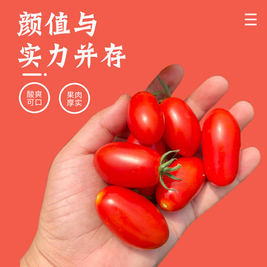 连州红甜心圣女果4斤 商品图2