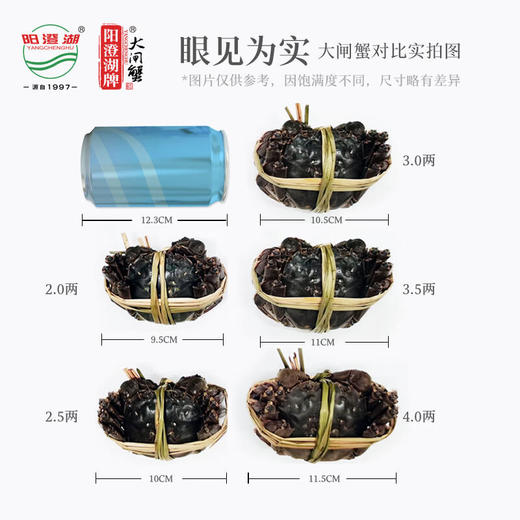 【卡券】【阳澄湖牌有机大闸蟹金榜题名型】3.5两公蟹*5只2.5两母蟹*5只 商品图3