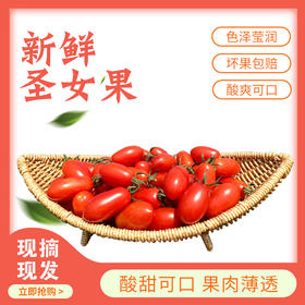 连州红甜心圣女果4斤