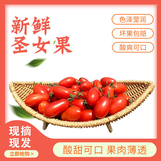 连州红甜心圣女果4斤 商品图0