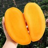【鲜甜多汁！新鲜大青芒】细腻爽口。一口咬下去，满嘴都是果肉的香甜，让你爱不释口。9斤装整箱热带水果新鲜大芒果甜心芒金黄 节日送礼物优选-健康 商品缩略图1