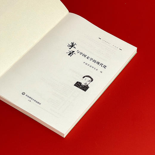 茅盾与中国文学的现代化 《茅盾研究》第19辑 茅盾文学研究 商品图7