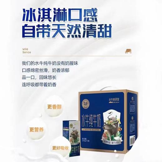 水牛纯牛奶（水牛食研室） 商品图1
