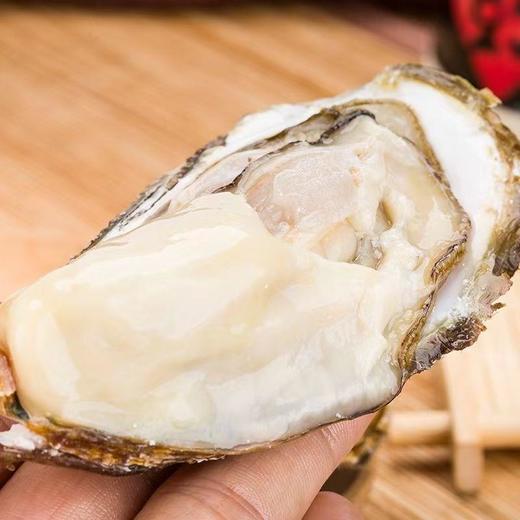 【顺丰包邮！口感细腻鲜美】一整箱特大生蚝带壳牡蛎新鲜烧烤非乳山生蚝鲜贝带壳海蛎子-觅食坊健康 商品图2