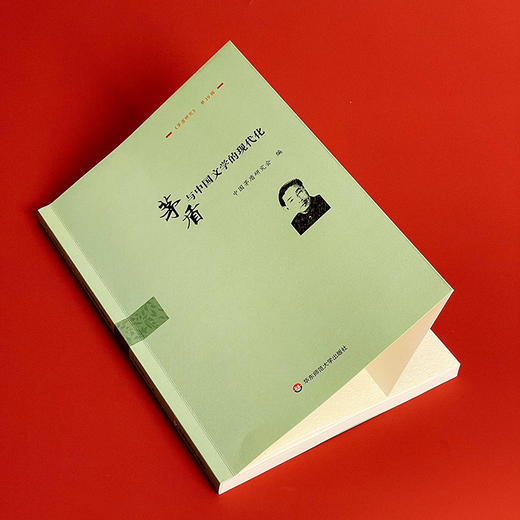 茅盾与中国文学的现代化 《茅盾研究》第19辑 茅盾文学研究 商品图6