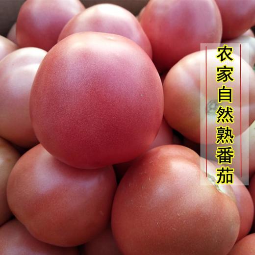 【口感鲜美！现摘新鲜沙瓤西红柿】新鲜水果自然熟番茄农家生吃大番茄3/5斤 节日送礼物优选-觅食坊健康 商品图3