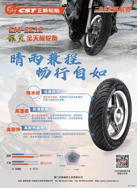正新龙王半热熔轮胎