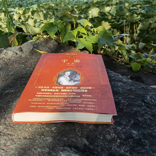 宇宙（第一卷） （德）亚历山大·洪堡 北京大学出版社 商品图3