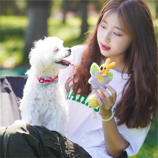 宠物系列快乐响当当宠物球球 商品图0