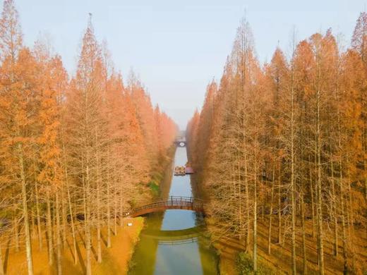 秋摄江苏：盐城条子泥湿地航拍、风车红草地、淮剧小镇、九龙口湿地、扬州瘦西湖秋色5天 商品图7