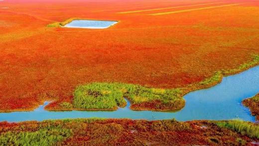 秋摄江苏：盐城条子泥湿地航拍、风车红草地、淮剧小镇、九龙口湿地、扬州瘦西湖秋色5天 商品图2