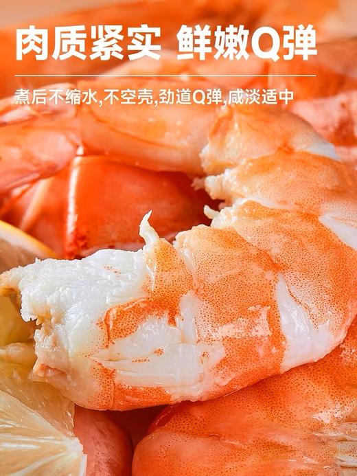 大黄鲜森湛江大虾鲜活速冻白虾类海鲜2030大虾1.5kg/盒 商品图3