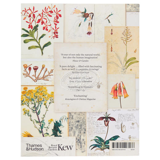【中商原版】Botanical Sketchbooks 进口艺术 植物的写生簿 T&H 商品图1