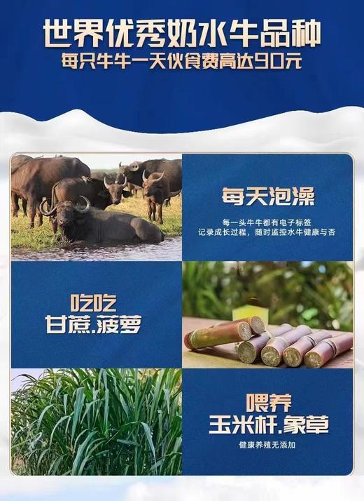 水牛纯牛奶（水牛食研室） 商品图4