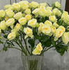 多头玫瑰  牛油果 10支/扎 云南基地发货 （价格已包含包装费用） 运费以实际为准，多退少补。 商品缩略图4