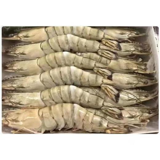 【让您品尝到新鲜的海鲜美味！新鲜黑虎虾特大虾】鲜活冷冻超大虾纯野生老虎虾九节虾海鲜顺丰 节日送礼物优选-觅食坊健康 商品图4