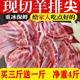 【肥美可口！新鲜羊排】羊排尖羊小排羔羊肋排羊胸骨脆骨羔羊新鲜烧烤羊排块羊排骨羊肉 节日送礼物优选-觅食坊健康