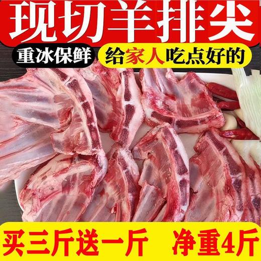【肥美可口！新鲜羊排】羊排尖羊小排羔羊肋排羊胸骨脆骨羔羊新鲜烧烤羊排块羊排骨羊肉 节日送礼物优选-觅食坊健康 商品图0