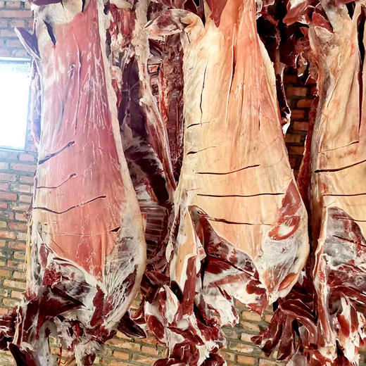 【风干羊肉2.5kg】阿尔巴斯特色“风干羊肉”山羊 2岁龄  顺丰包邮 礼盒装 商品图1