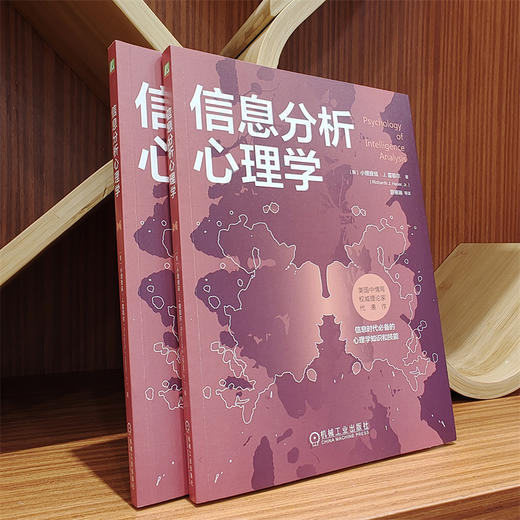 官网 信息分析心理学 小理查兹 霍耶尔 提高信息分析能力 认知心理学 心理学书籍 商品图1