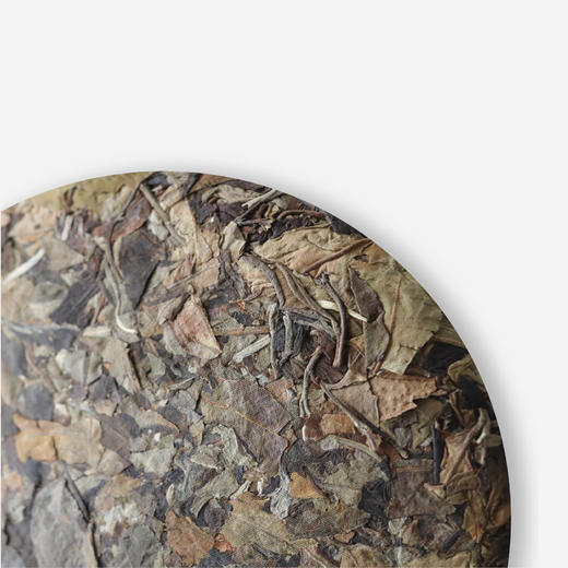 芝籣云丰2019年芝兰秋月乔木白茶茶叶375g/饼精选原料好茶紧压 商品图1