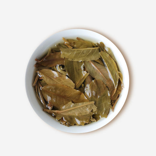 芝籣云丰2019年芝兰白藏 一级白茶原生态醇厚大叶好茶高品质甜香 商品图3