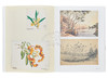 【中商原版】Botanical Sketchbooks 进口艺术 植物的写生簿 T&H 商品缩略图6