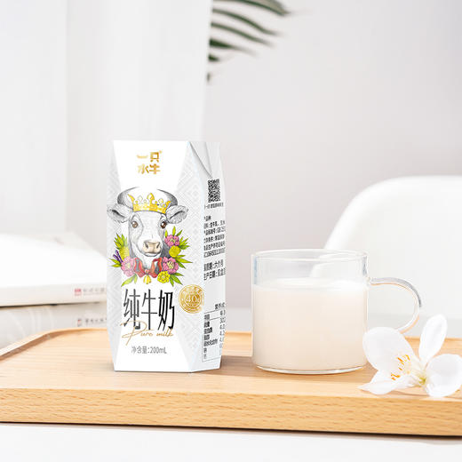 一只水牛4.0蛋白质水牛纯牛奶整箱儿童奶 商品图3
