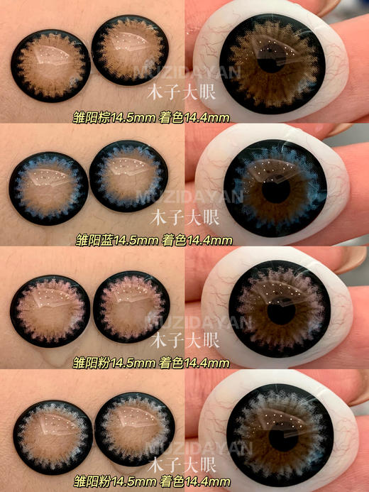 【本店实拍】AGENSCOLOR 雏阳系列棕  蓝  粉 灰14.5mm 【年抛 度数0-1000度 无525/575 】 商品图0