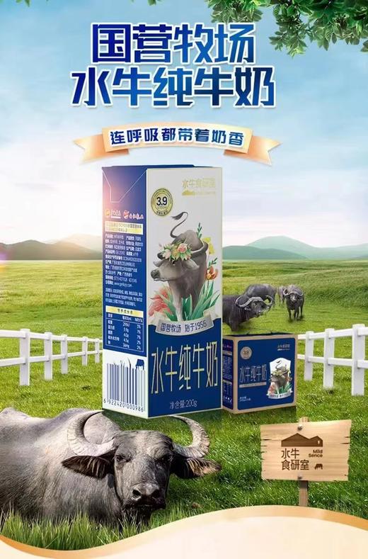 水牛纯牛奶（水牛食研室） 商品图3